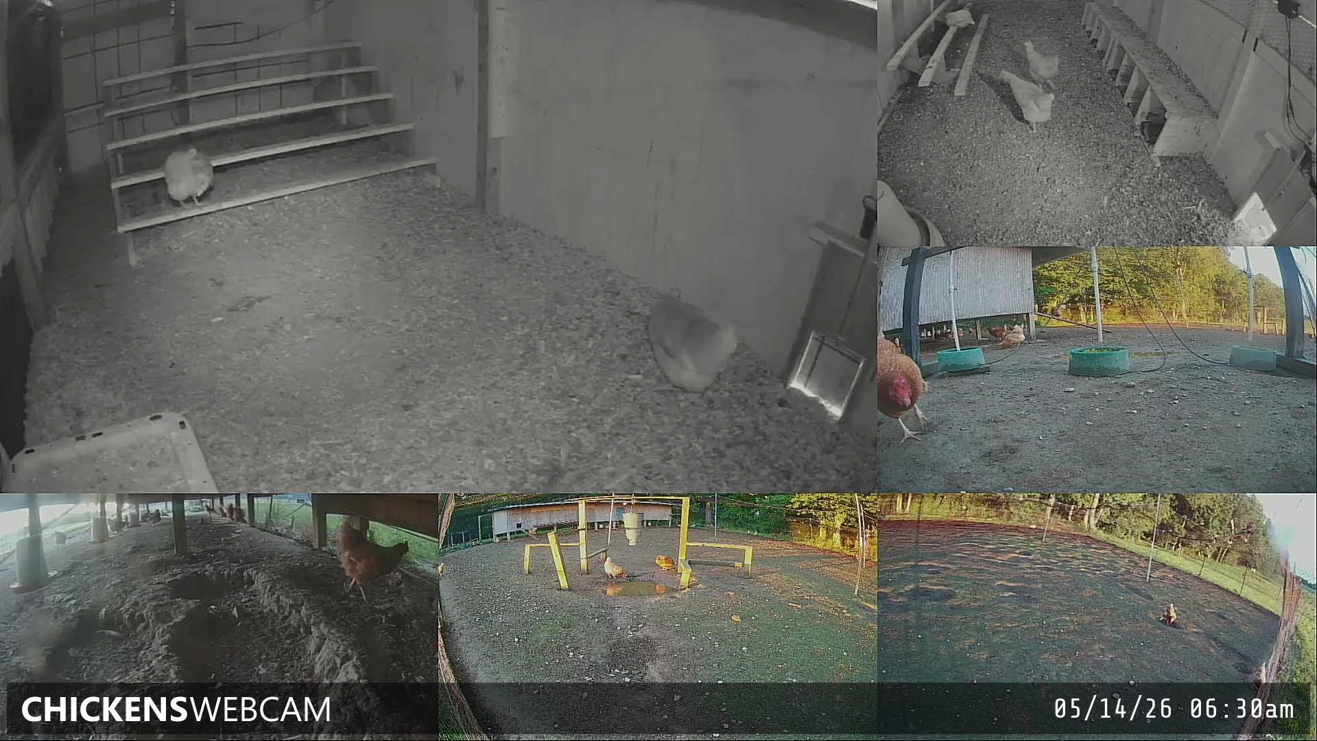 Twitch Stream Preview