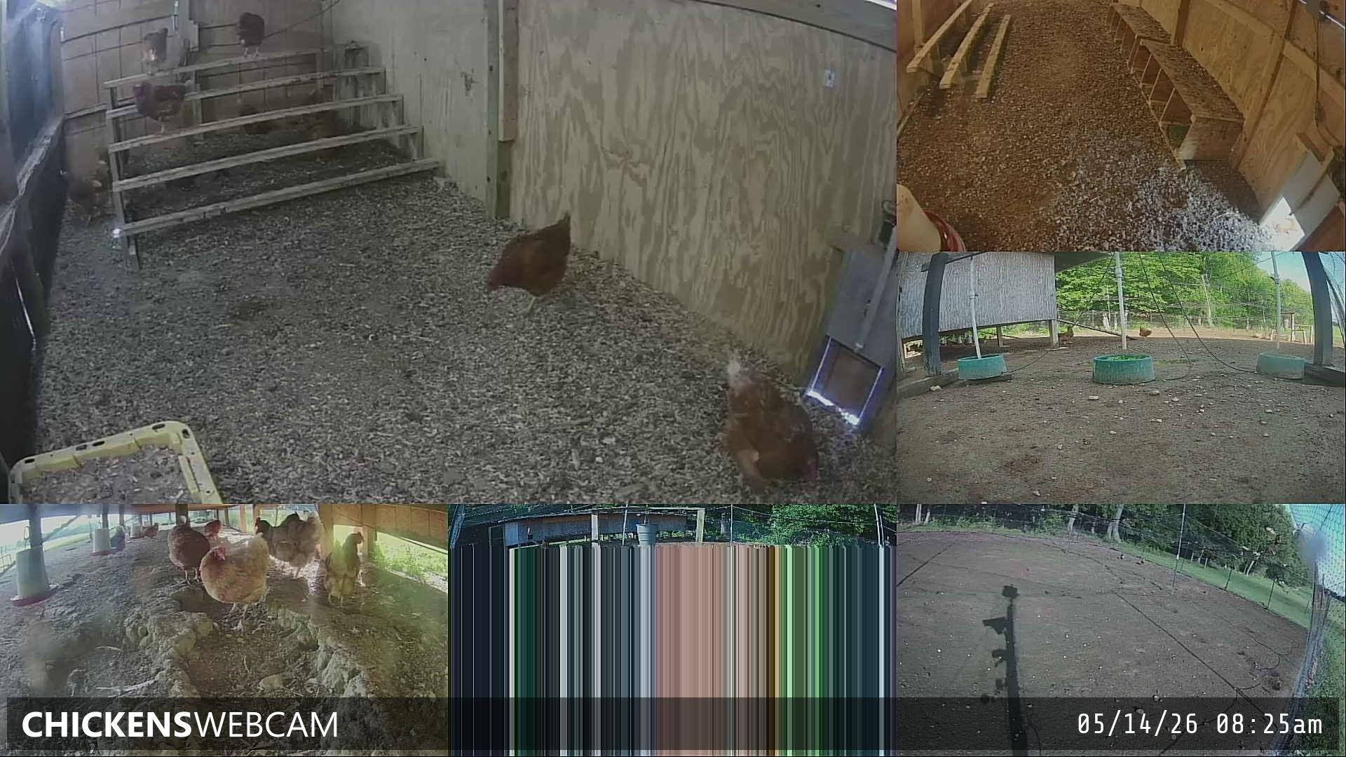 Twitch Stream Preview