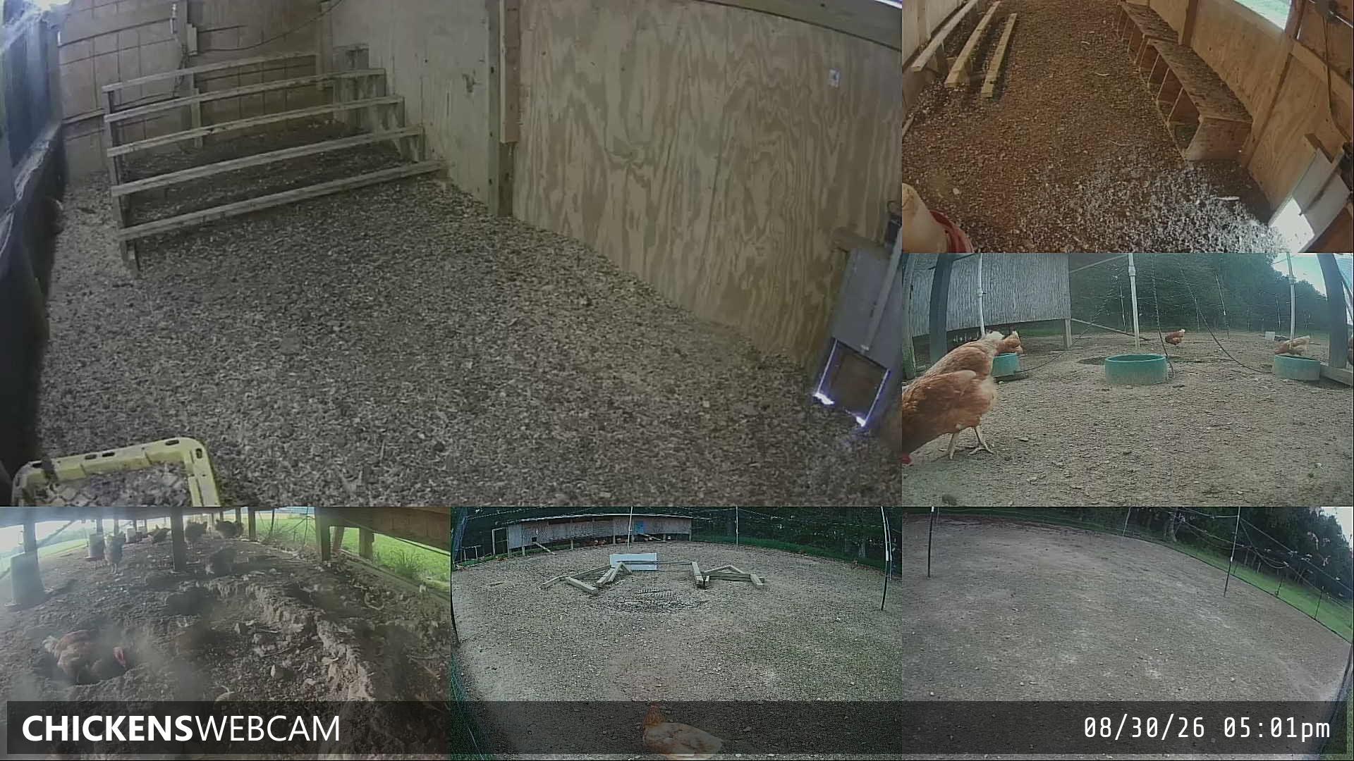 Twitch Stream Preview