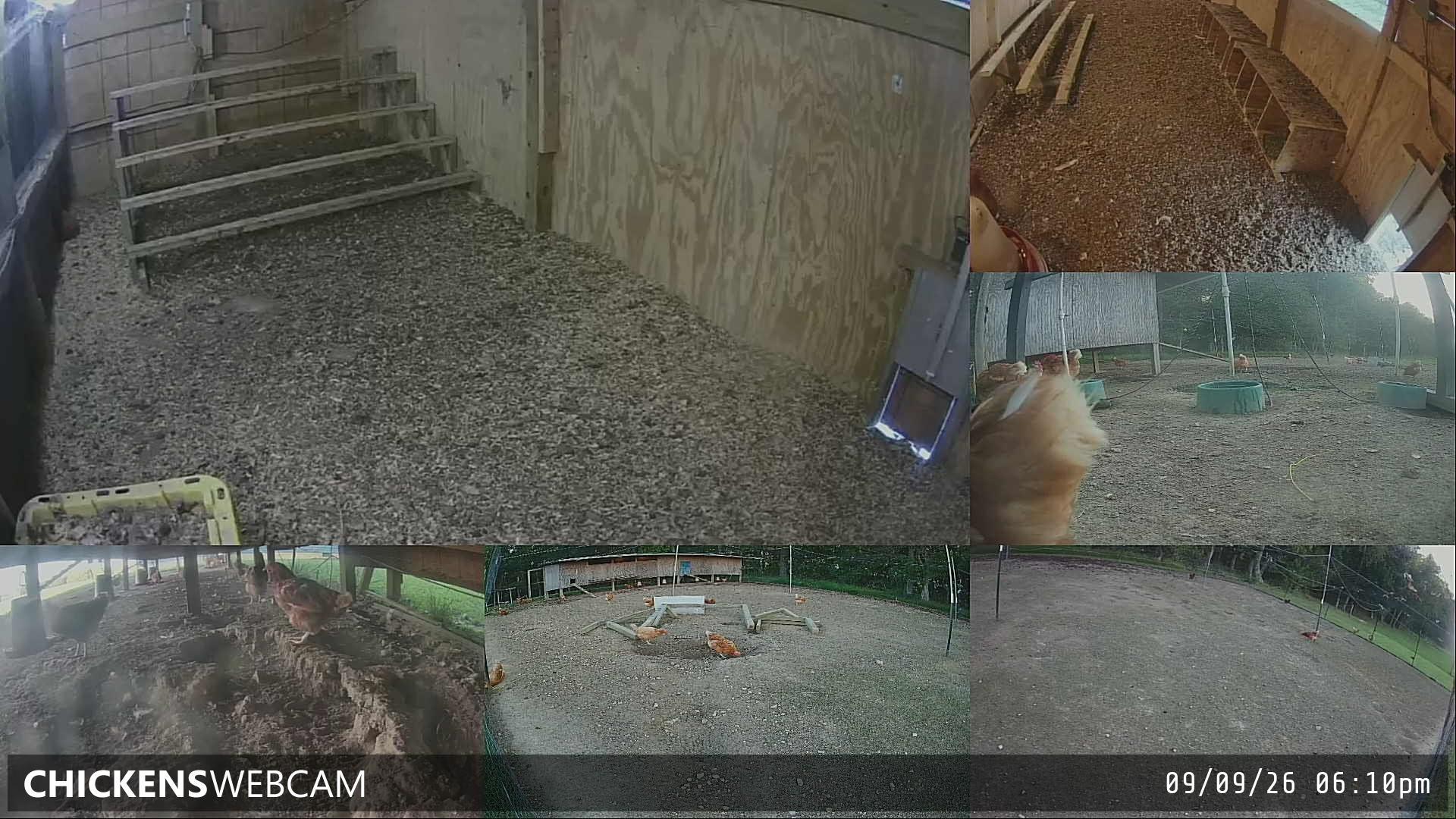 Twitch Stream Preview