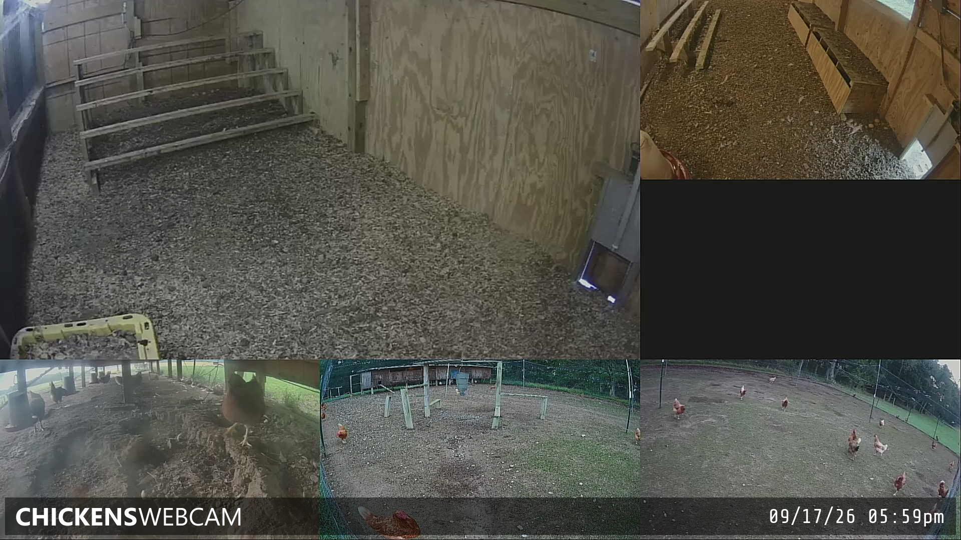 Twitch Stream Preview