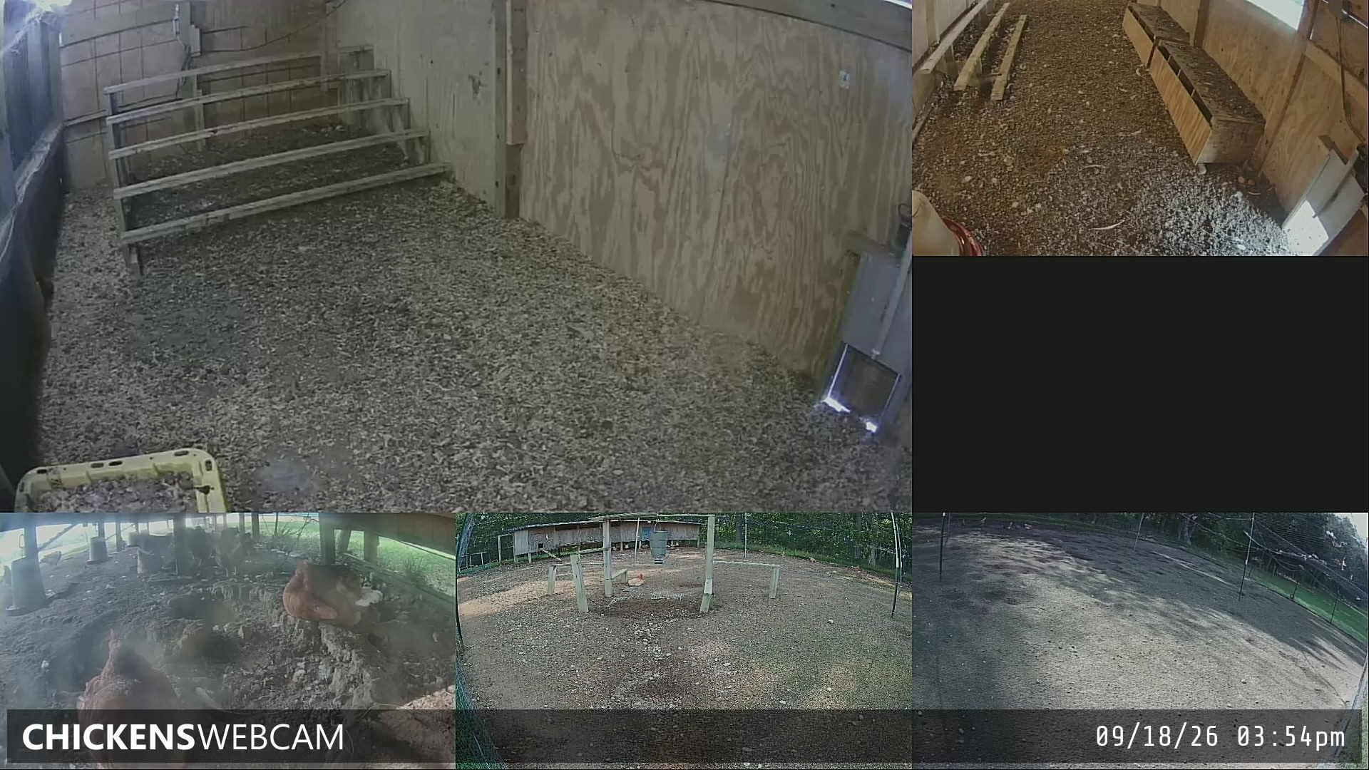 Twitch Stream Preview