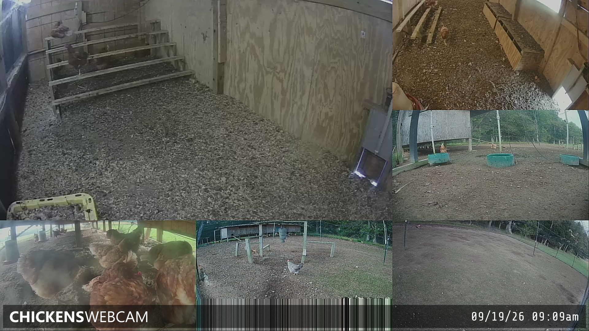 Twitch Stream Preview