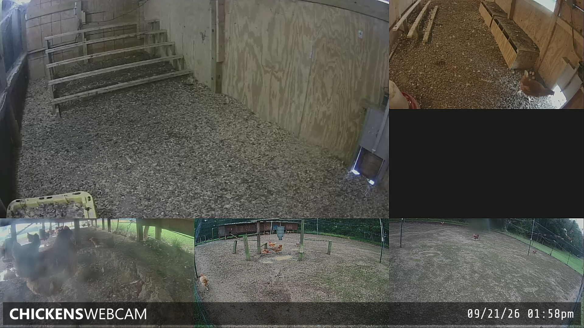 Twitch Stream Preview