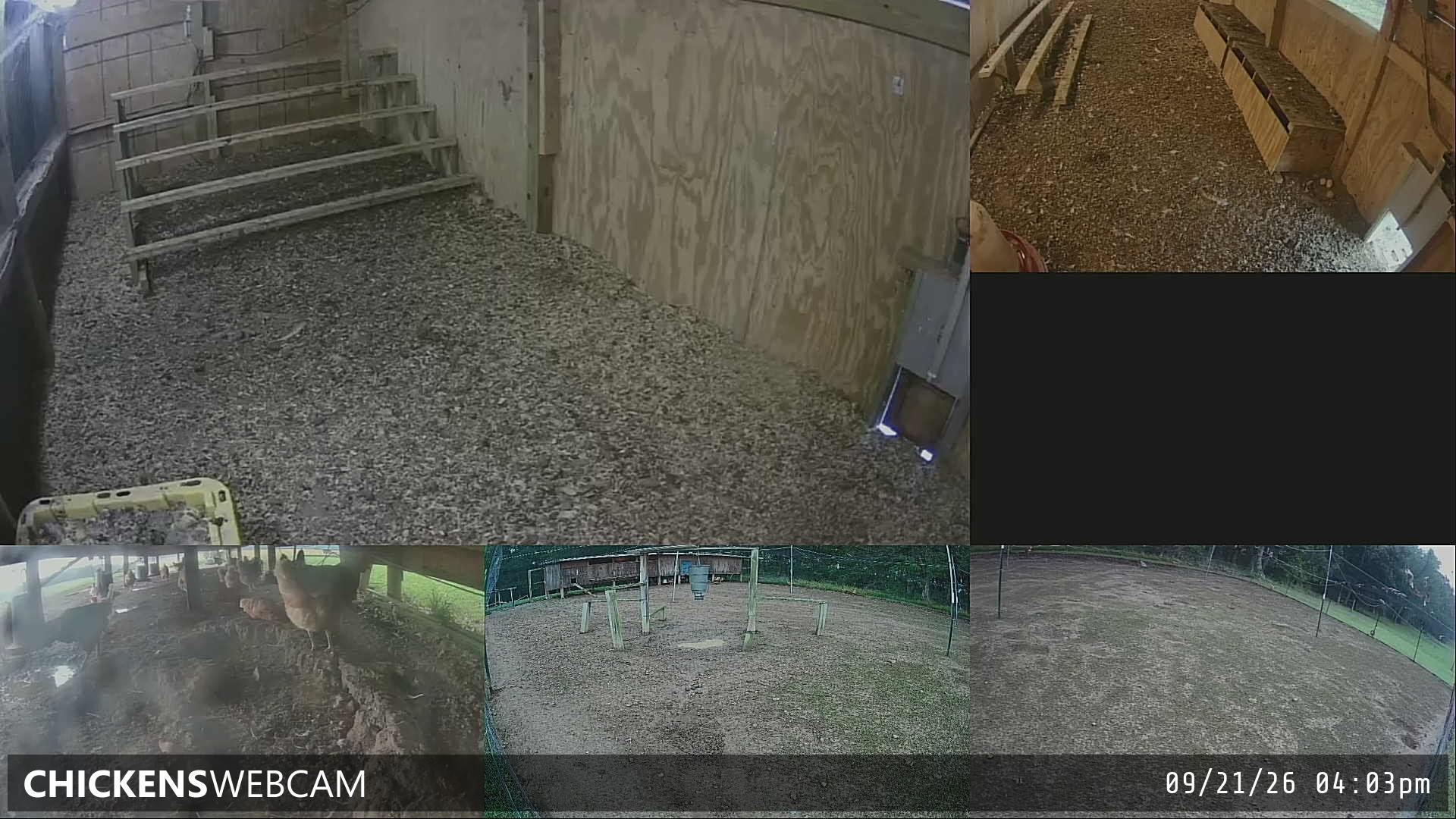 Twitch Stream Preview