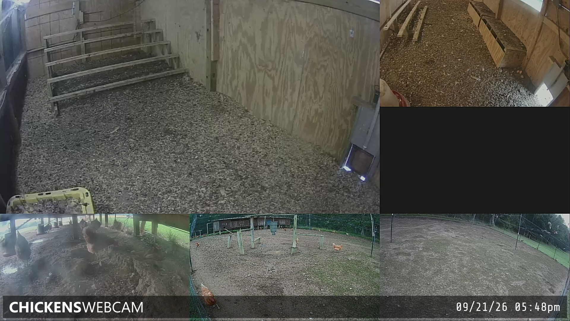 Twitch Stream Preview