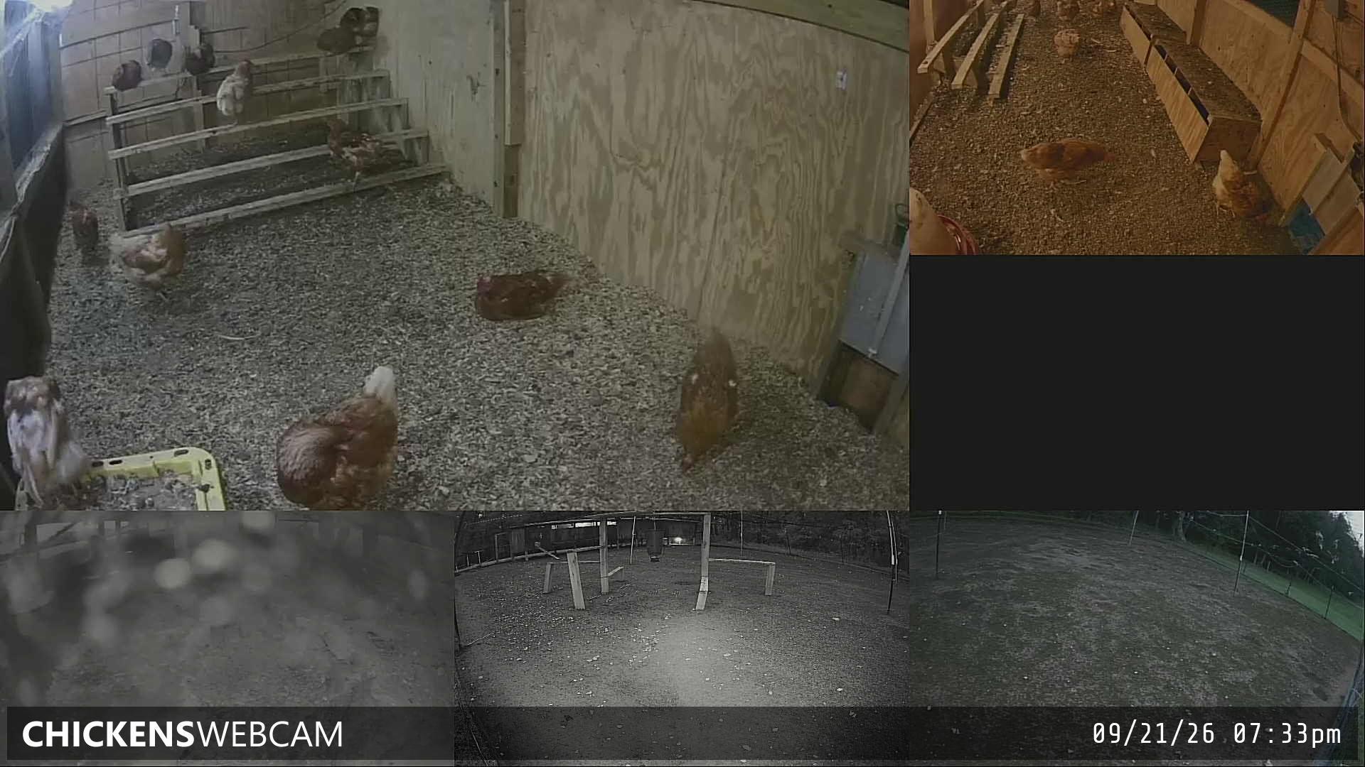 Twitch Stream Preview