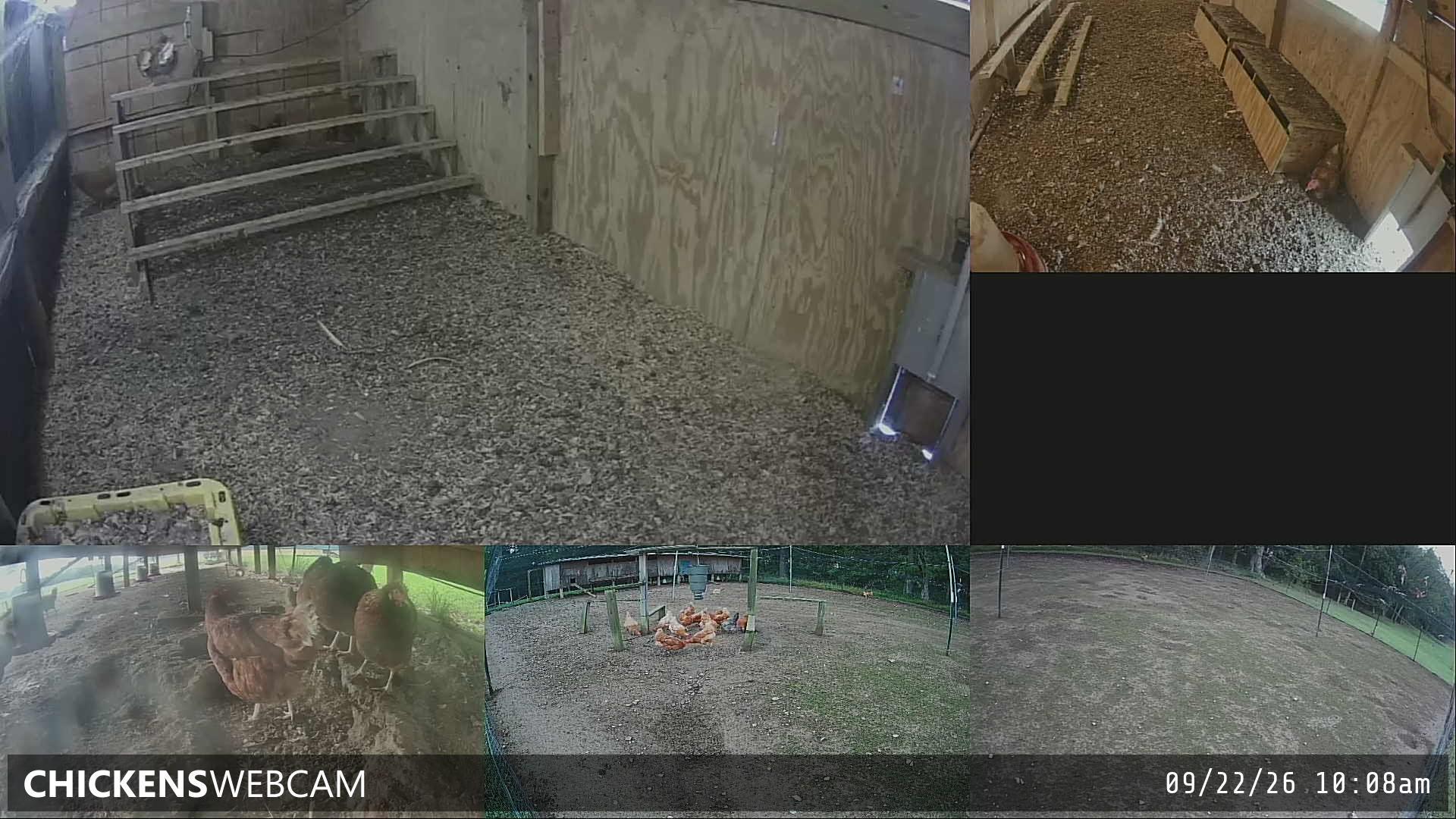 Twitch Stream Preview