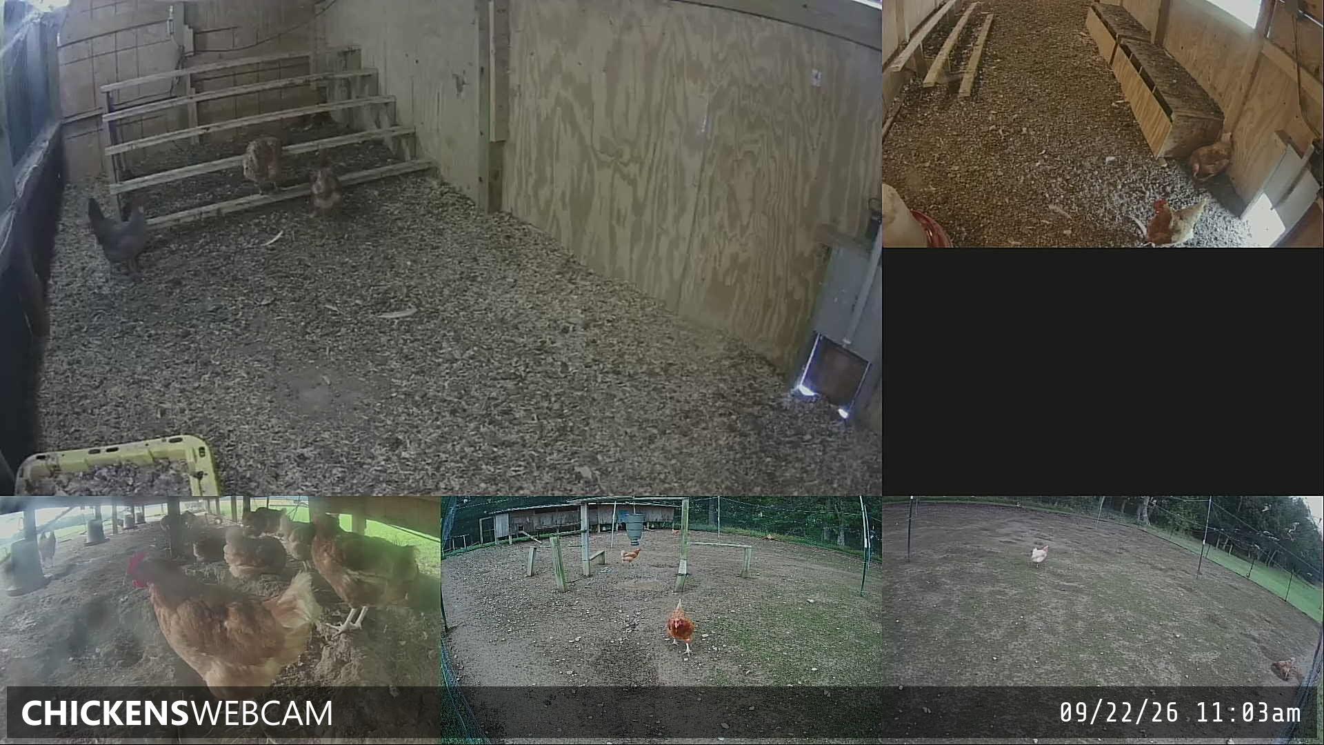 Twitch Stream Preview