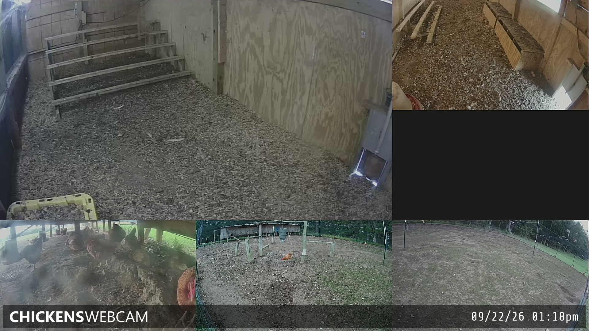Twitch Stream Preview