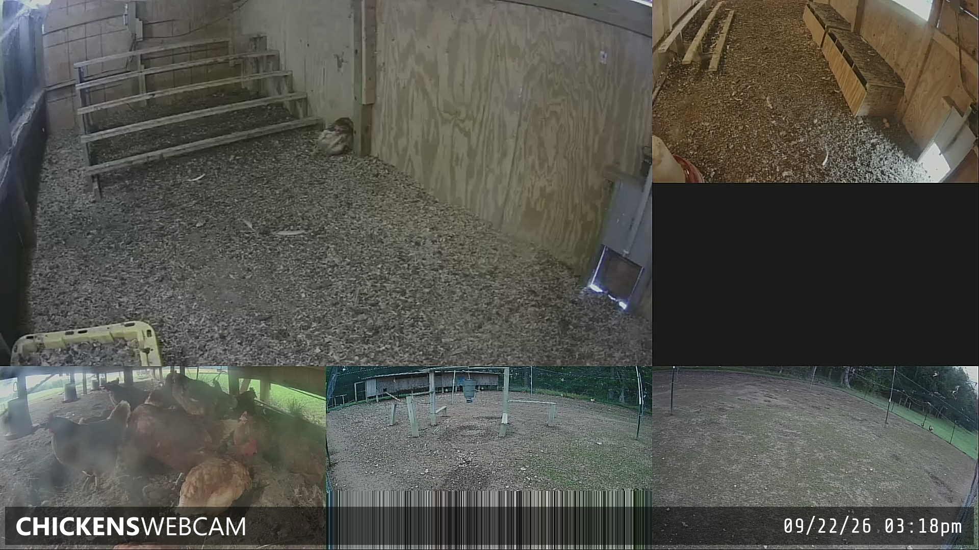 Twitch Stream Preview