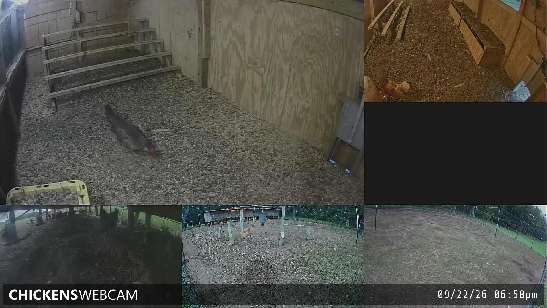 Twitch Stream Preview