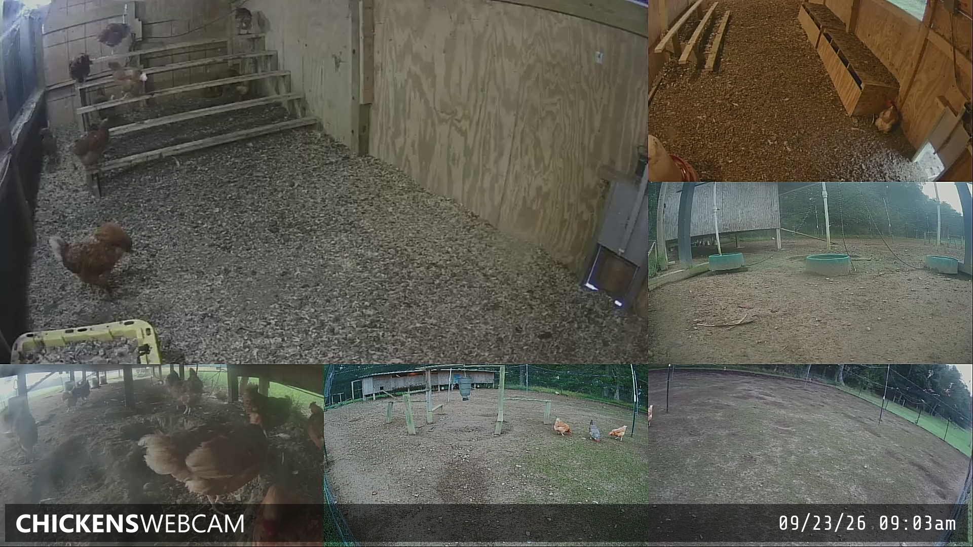 Twitch Stream Preview