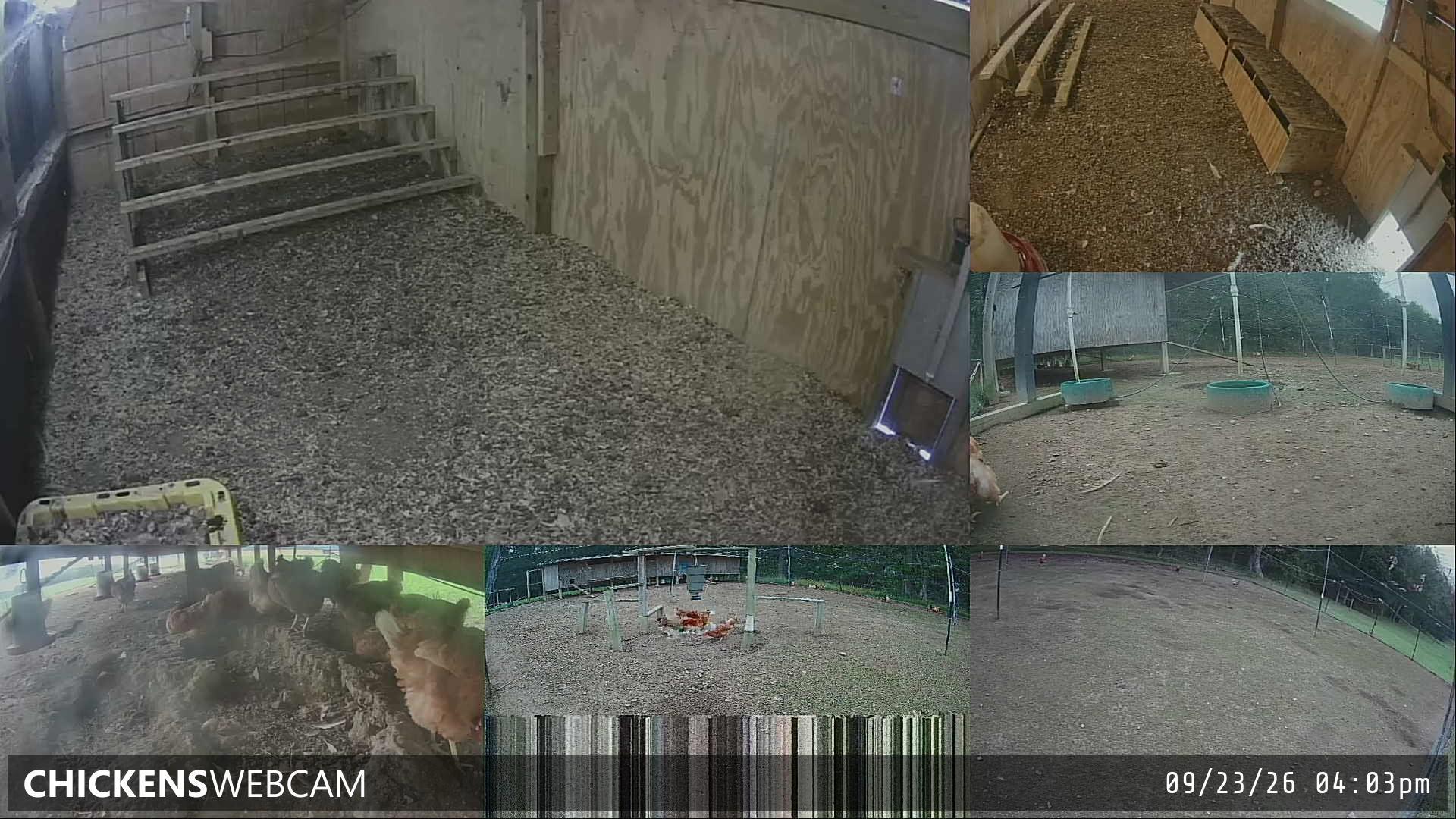 Twitch Stream Preview