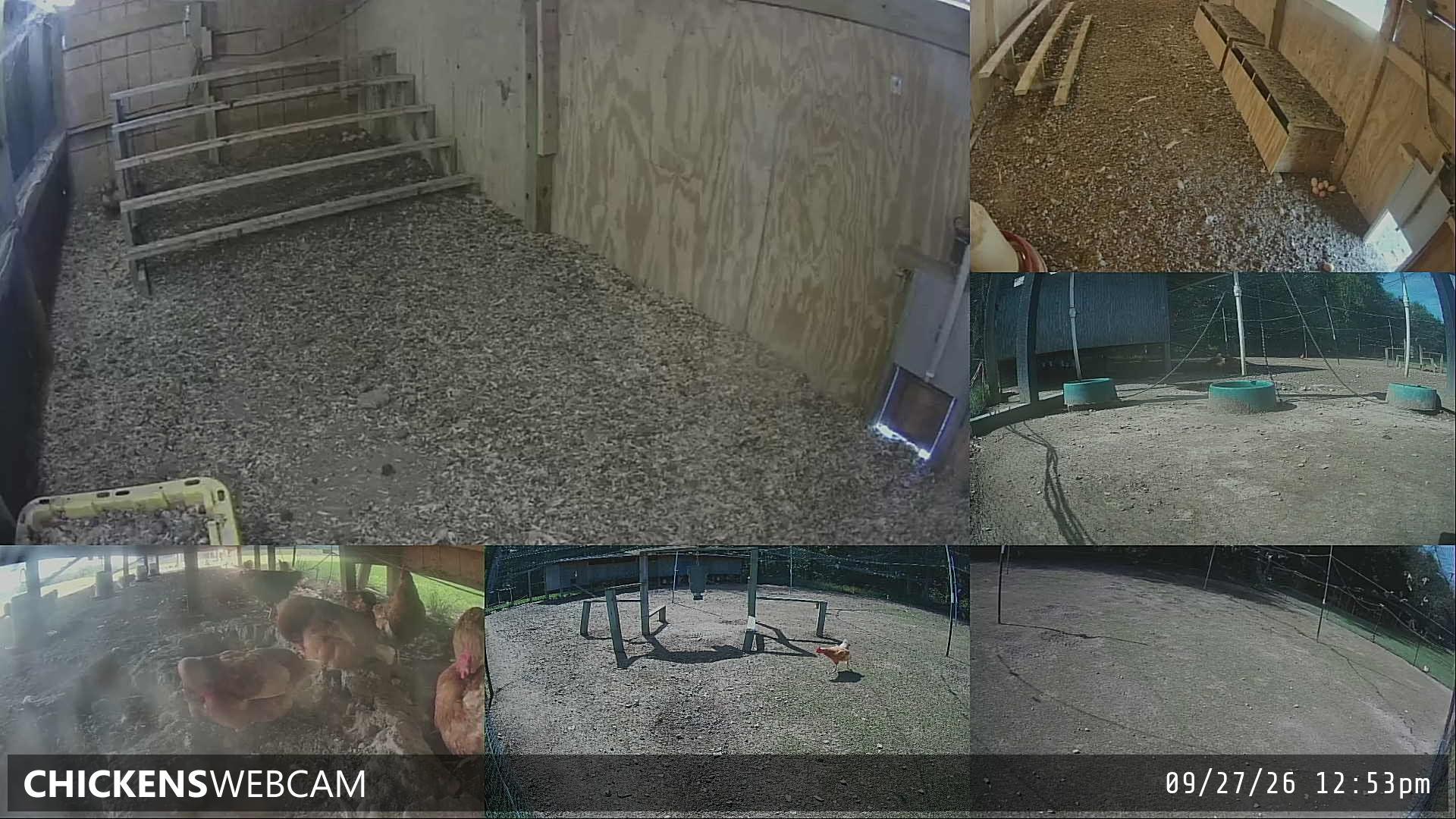 Twitch Stream Preview
