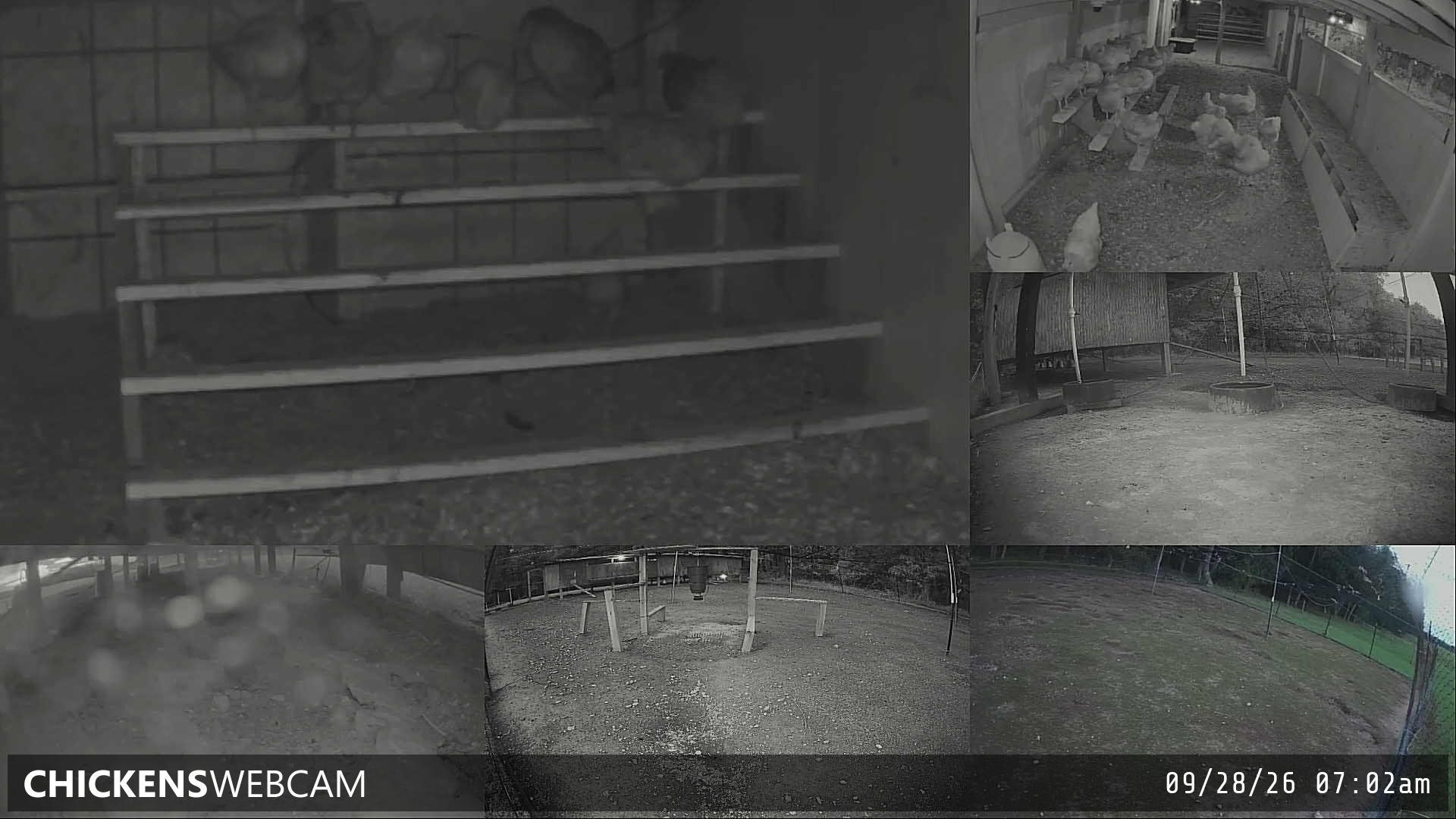 Twitch Stream Preview