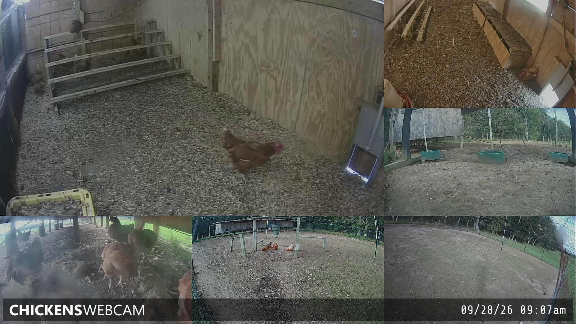 Twitch Stream Preview