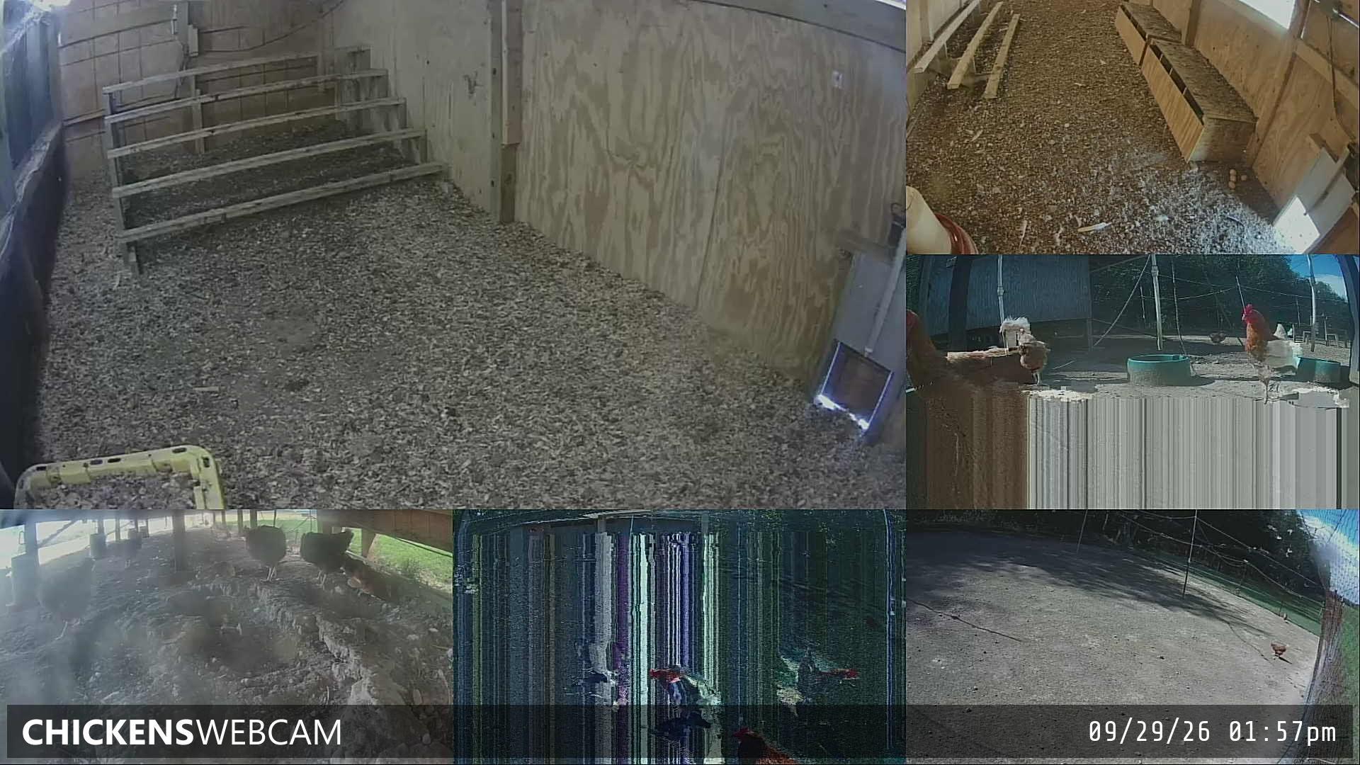 Twitch Stream Preview