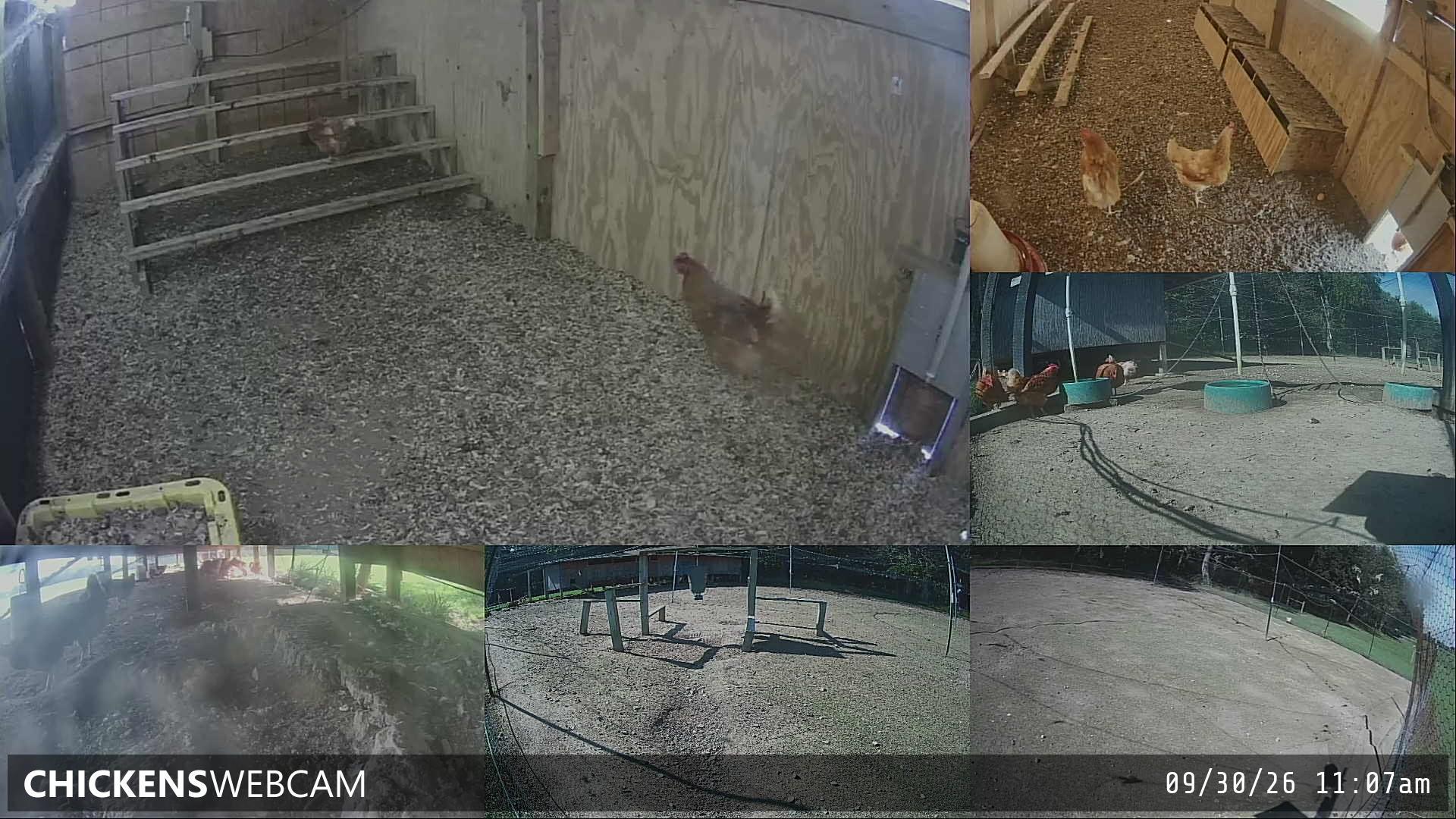 Twitch Stream Preview
