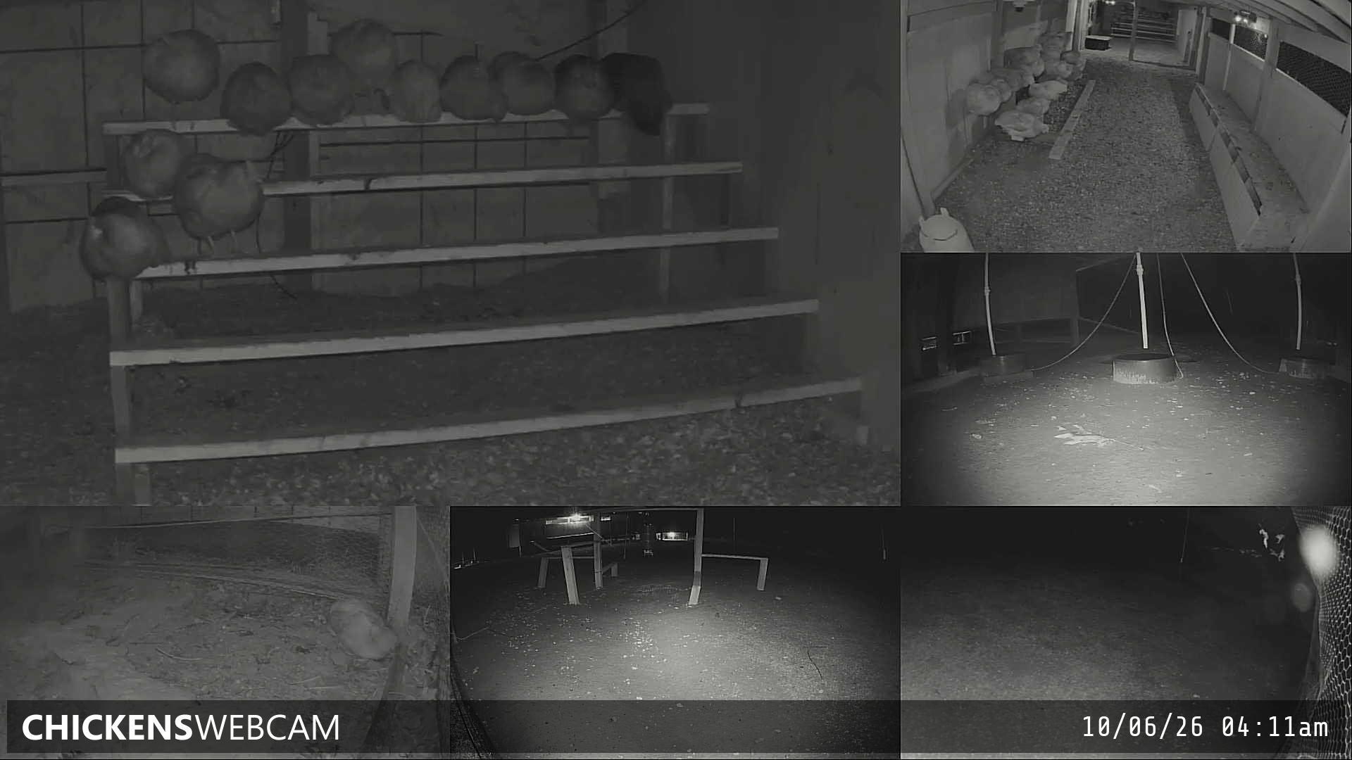 Twitch Stream Preview