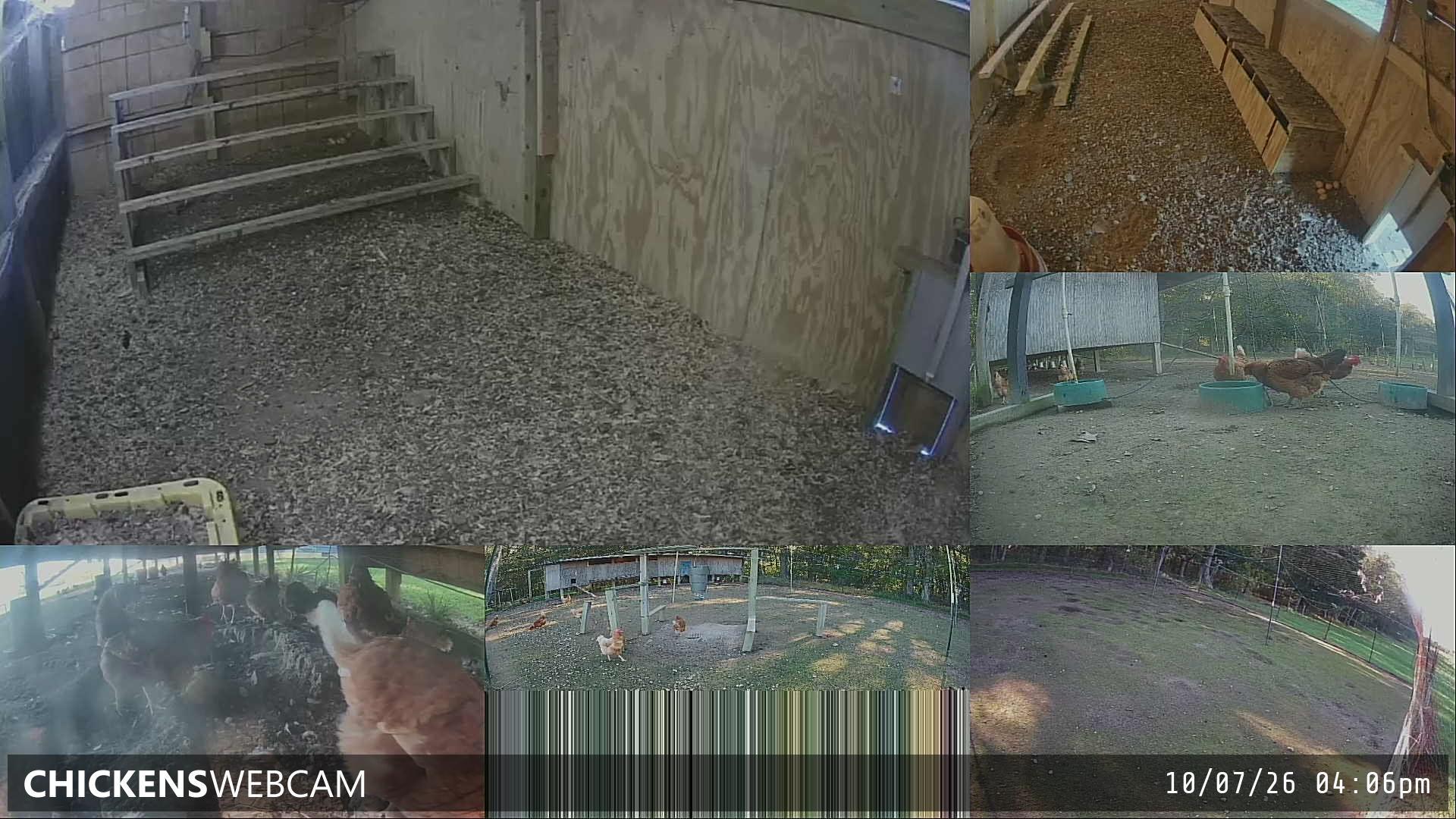 Twitch Stream Preview