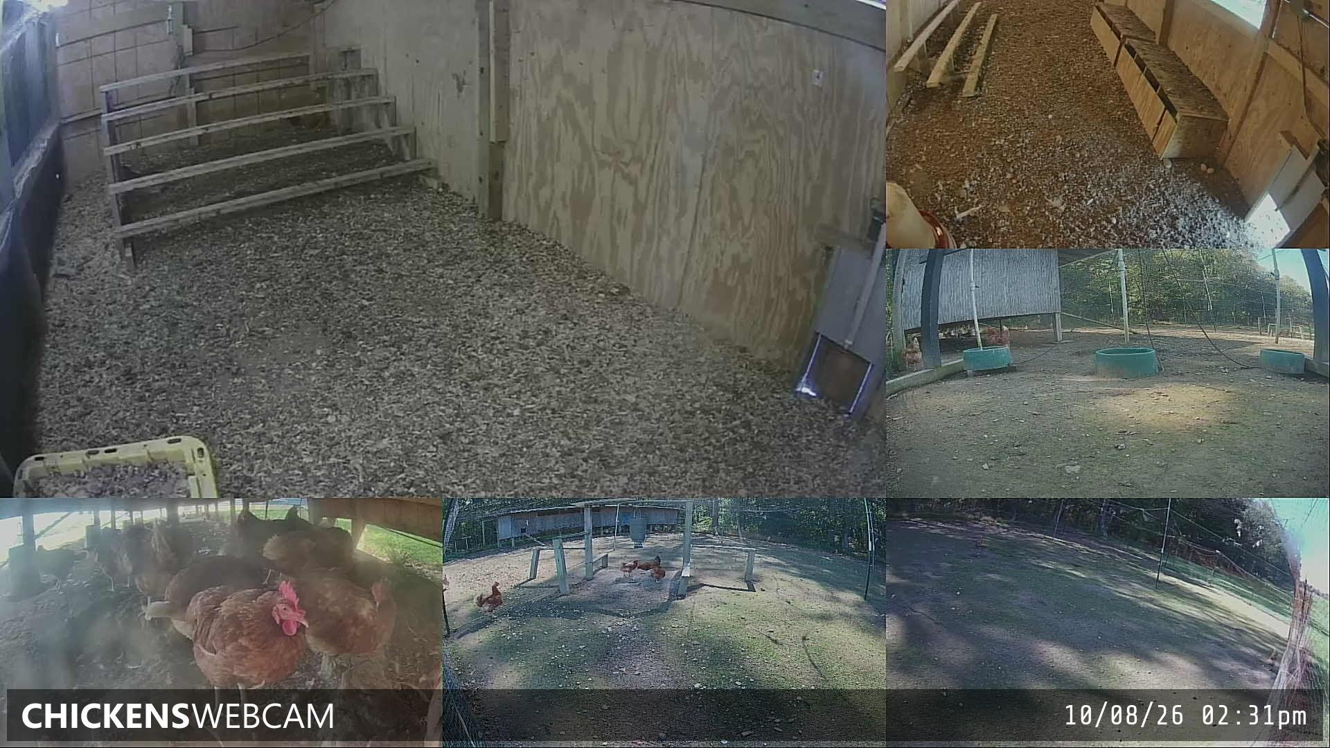 Twitch Stream Preview