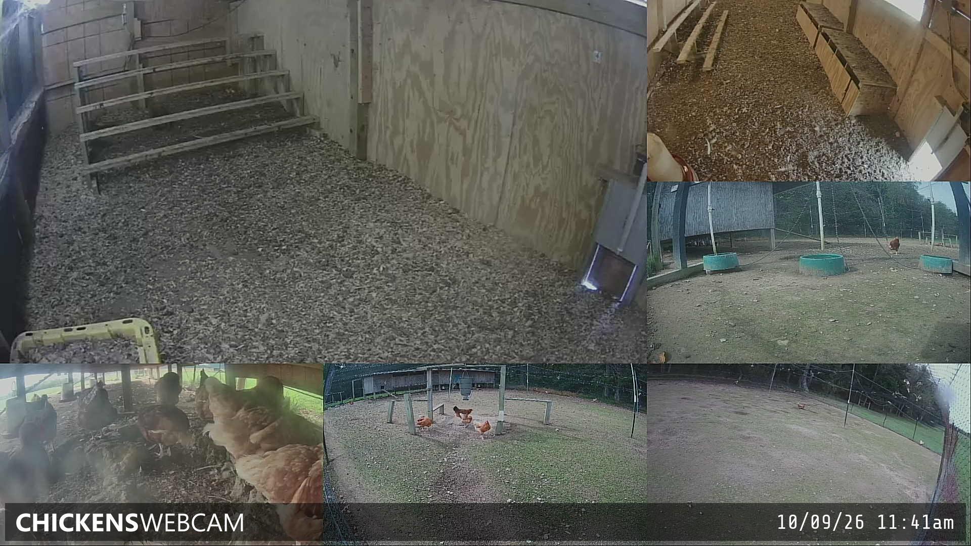 Twitch Stream Preview