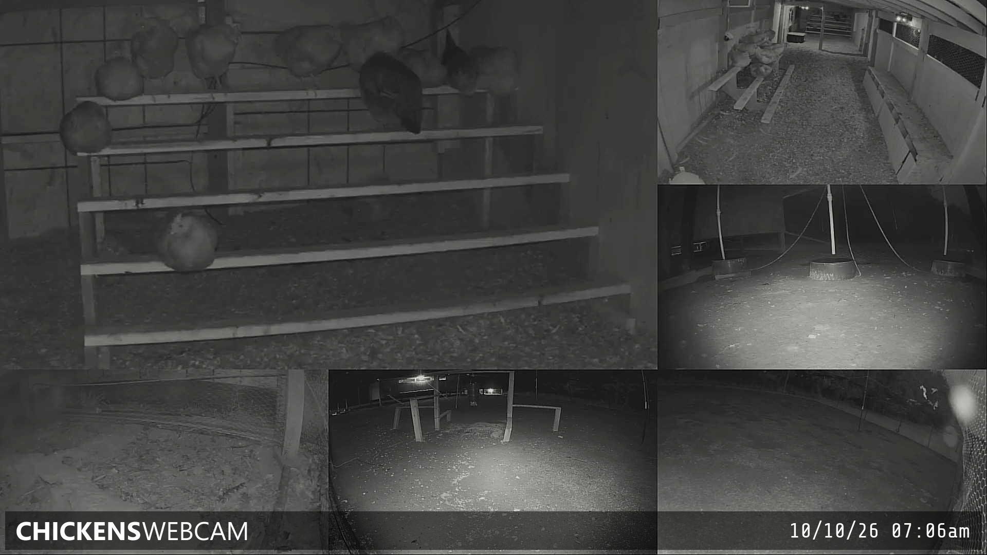 Twitch Stream Preview