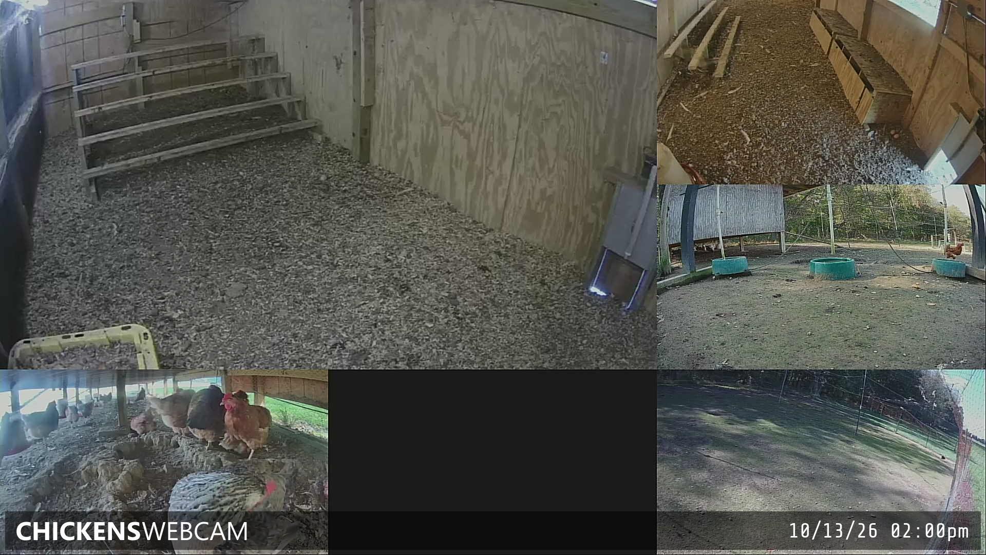 Twitch Stream Preview
