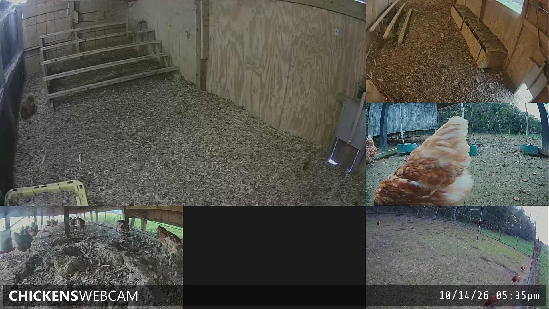 Twitch Stream Preview
