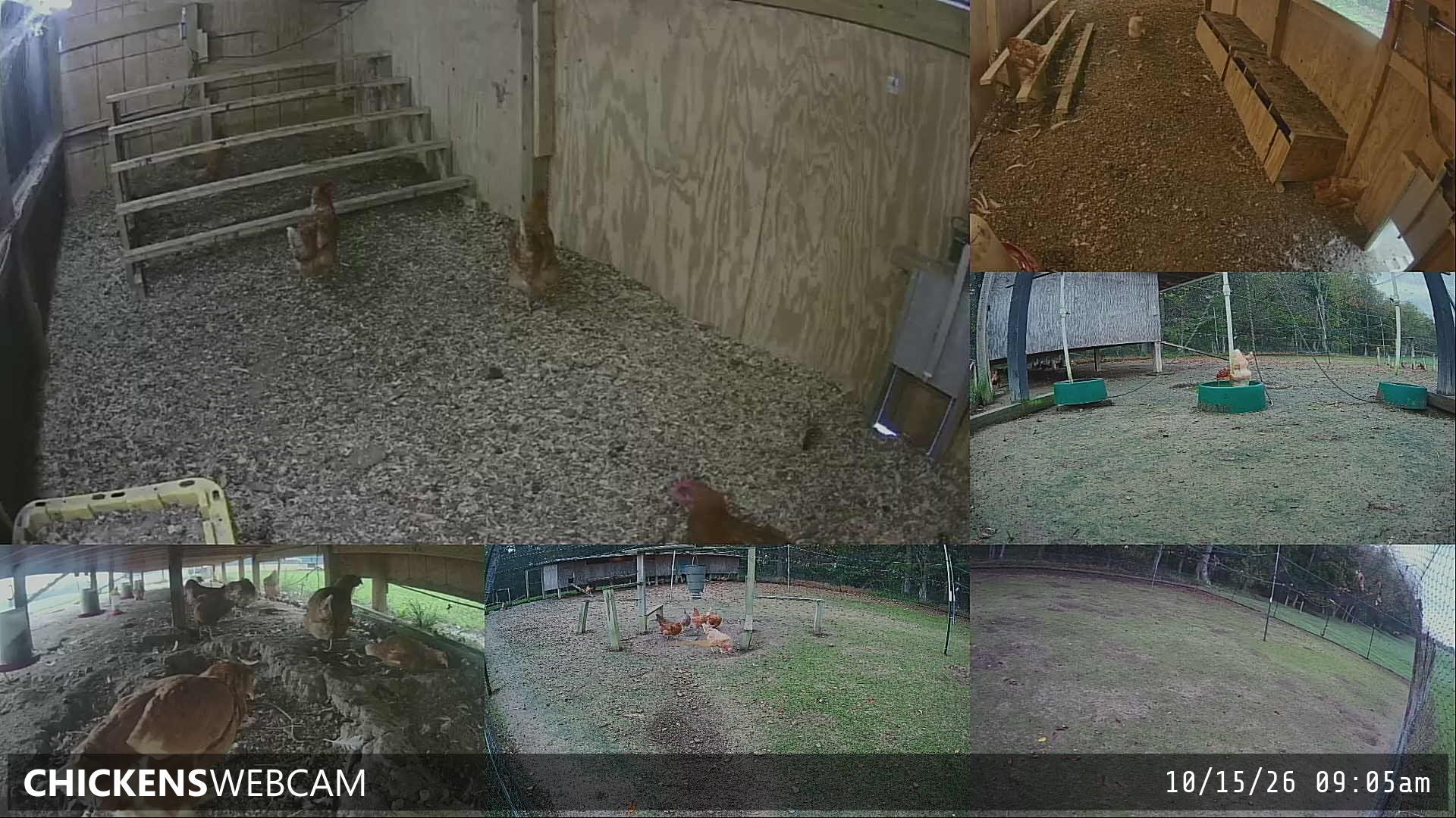Twitch Stream Preview